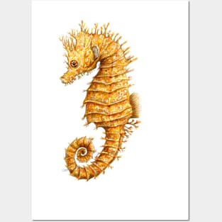 Yellow seahorse Hippocampus Posters and Art